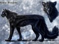 sasha_charactersheet_by_blackmystica-d5obxkb.jpg